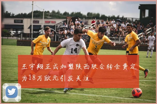王宇翔正式加盟陕西联合转会费定为18万欧元引发关注