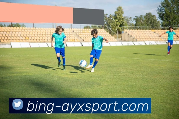 爱游戏体育APP 封面图